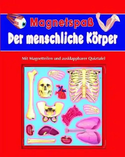 Magnetspiele der menschliche - der,